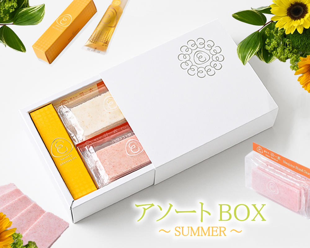 AEアソートBOX・Summer