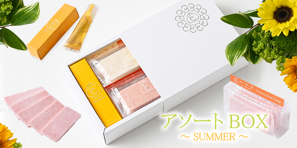 AEアソートBOX・Summer