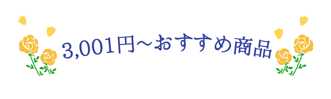 3,001円~おすすめ商品