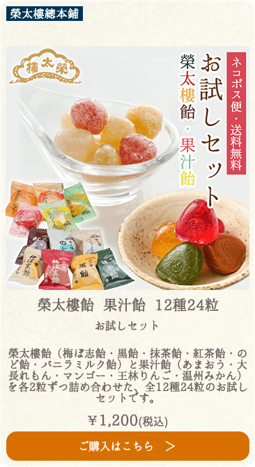 榮太樓 榮太樓飴 果汁飴 12種24粒 お試しセット【ネコポス便・送料無料】大袋