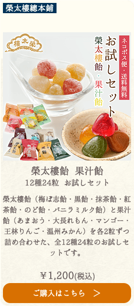 榮太樓 榮太樓飴 果汁飴 12種24粒 お試しセット【ネコポス便・送料無料】大袋