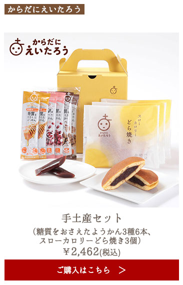 からだにえいたろう 手土産セット（糖質をおさえたようかん3種6本、スローカロリーどら焼き3個） ギフトセット