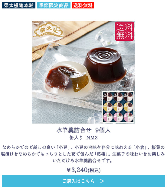 水羊羹詰合せ 9個入 缶入り NM2【送料無料】
