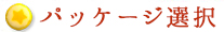 パッケージ選択